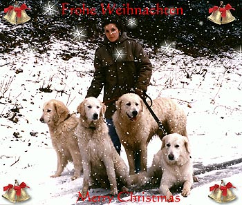 Winter vor 20 Jahren - Dschuma Malgrado L'Invidia, Gy�ngy vom Quecksilber, Zs�mbok-Sz�pe Geri und im Vordergrund Asia von Adriana Rohs (von links nach rechts)