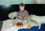 Whose toys are those?