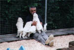 Stephan and the puppies
